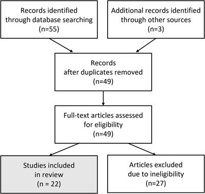 Neural Decoders Using Reinforcement Learning in Brain Machine Interfaces: A Technical Review